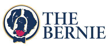 BERNIE LOGO