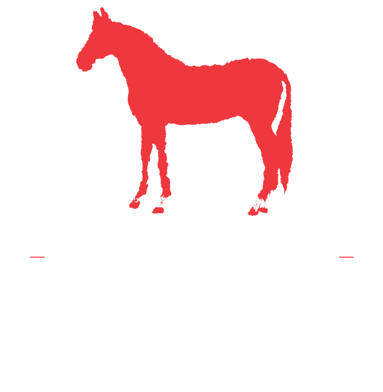 Red Horse by Db White Plains